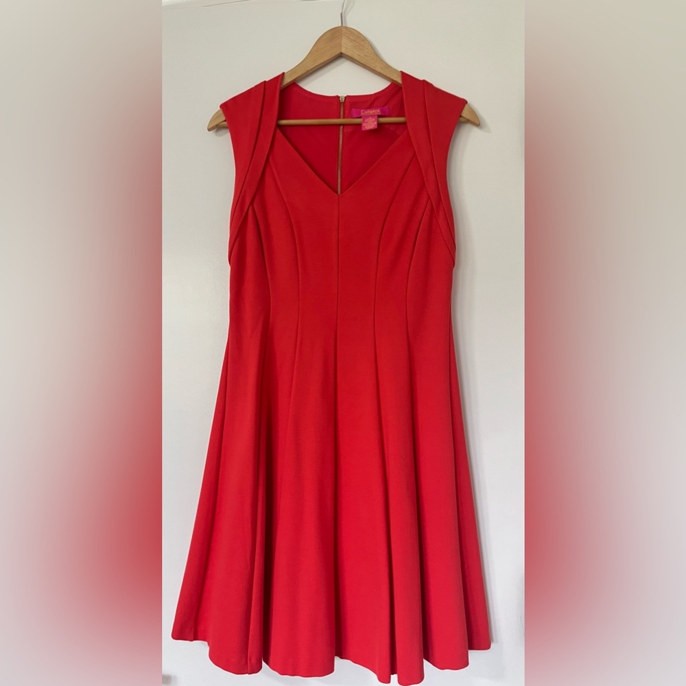 Catherine Malandrino Fit and Flare Dress